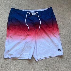Hollister Mens Swim Trunks